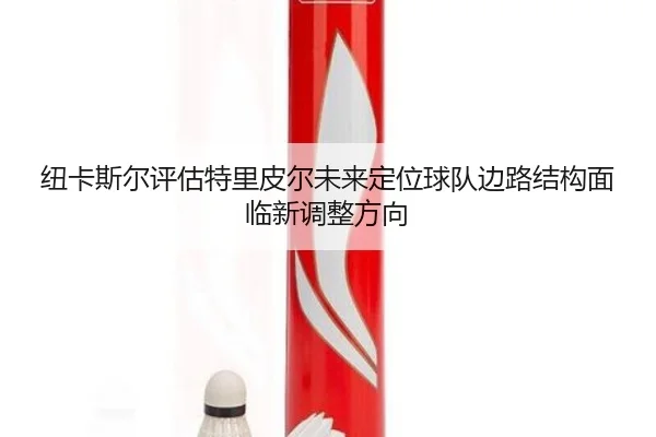 纽卡斯尔评估特里皮尔未来定位球队边路结构面临新调整方向